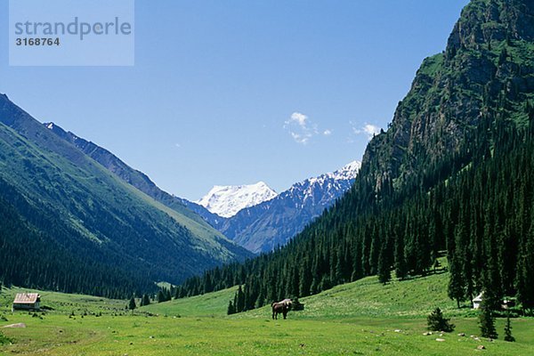 Berglandschaft Krigistan.