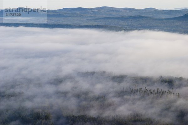 Wald  Luftaufnahme  Schweden.