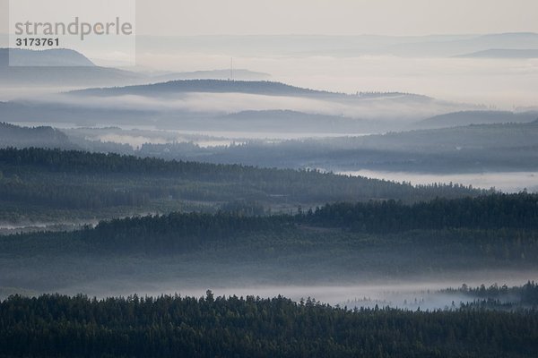 Wald und Wasser Landschaft  Luftaufnahme  Schweden.