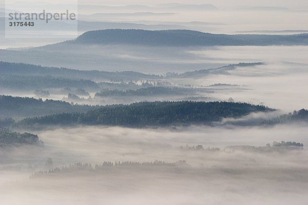 Luftbild von einem nebligen Wald Landschaft  Schweden.