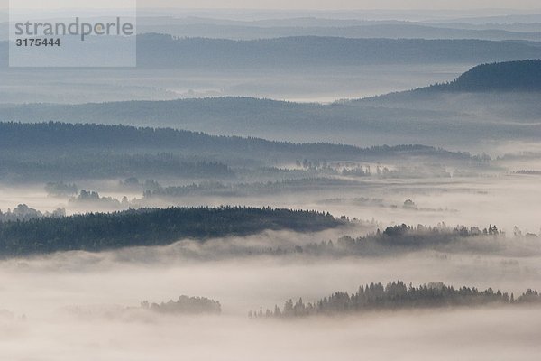 Luftbild von einem nebligen Wald Landschaft  Schweden.
