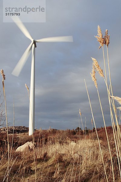 Windturbine Windrad Windräder Schweden