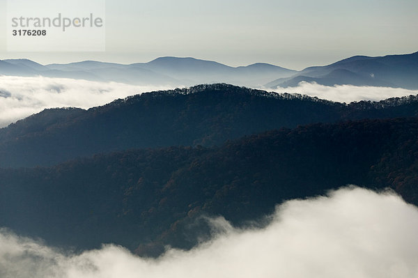 Berggipfeln und einem nebeligen Tal  Wayah Kahle  North Carolina  USA.