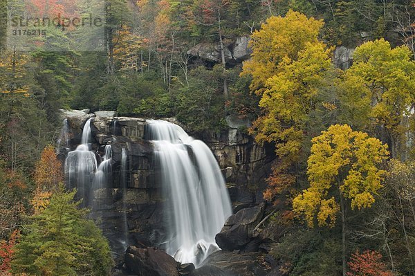 Herbstfarben  Wildwasser Falls  North Carolina  USA.