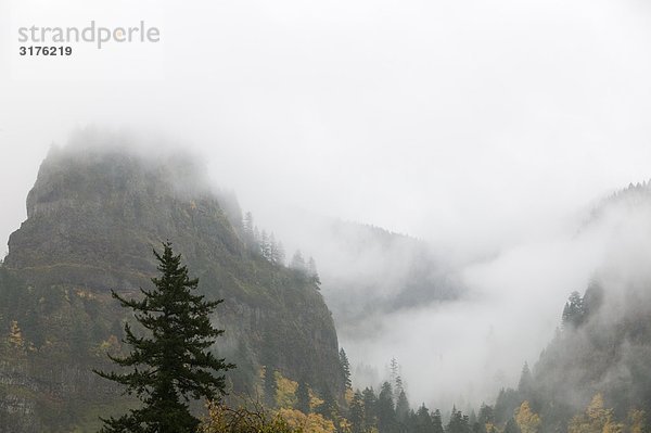 Berggipfel hüllte in Nebel  Columbia River Gorge  Oregon  USA.