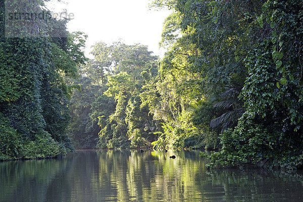 Fluss durch einen Regen Wald  Costa Rica.