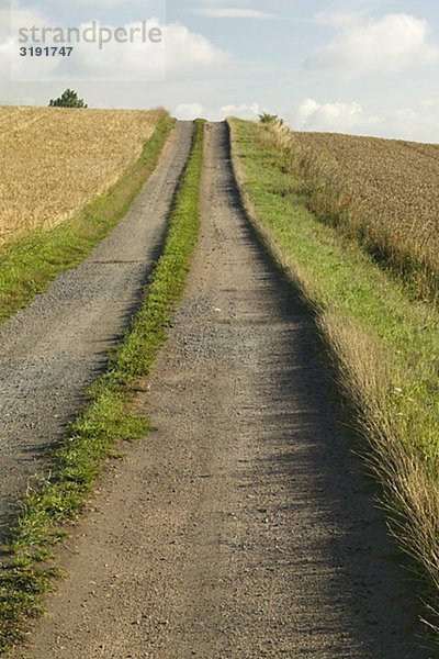 Eine Straße auf die schwedische Landschaft  Killerod  Skane  Schweden.