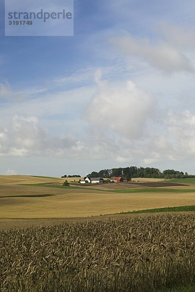 Felder in der schwedischen Landschaft  Killerod  Skane  Schweden.