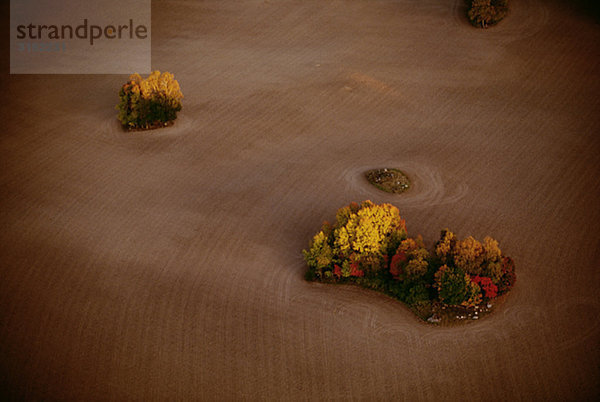 Feld mit Bäumen  elevated view