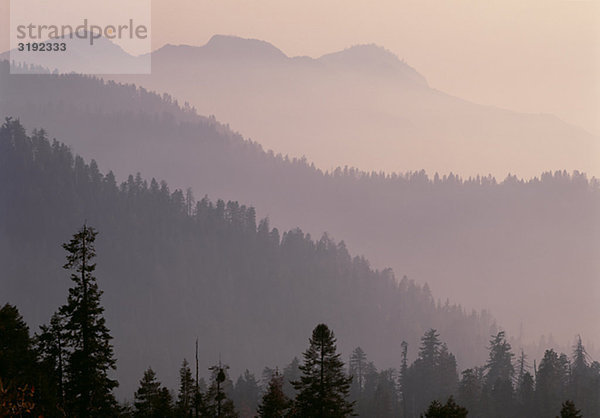 Silhouetten der Berge mit Bäumen bedeckt