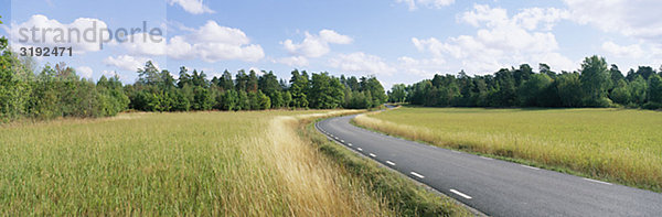 Straße inmitten Grünland mit Bäumen im Hintergrund