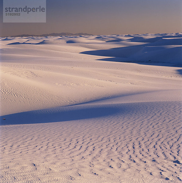 Mit Sanddünen im Hintergrund Wüste