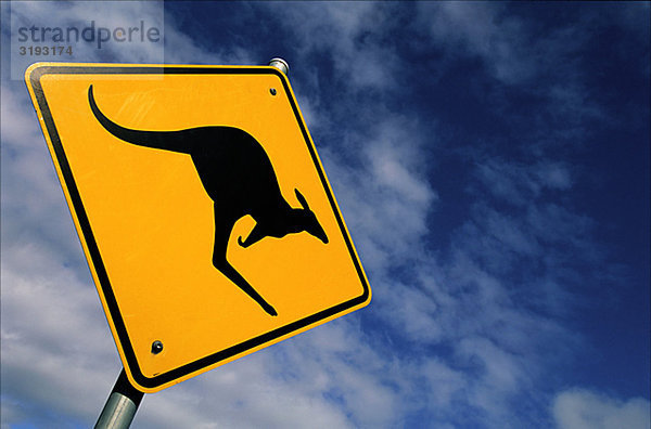 Kangaroo Straßenschild  Australien.