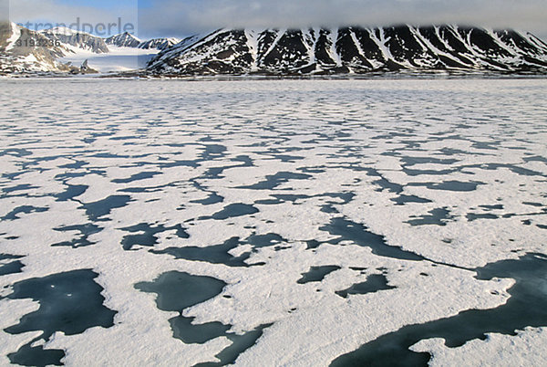 Arktischen Eis Sommerlandschaft  Schmelzen Meereis  Norwegen.