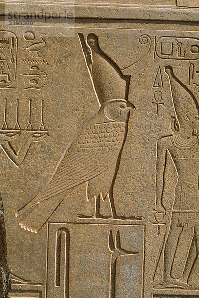 Pharaoan Falcon Gott Horus und Hieroglyphen in der Luxor-Tempel