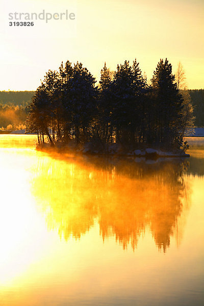 Bäume durch das Wasser in der Sonne  Schweden.