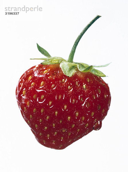 Eine Erdbeere auf weißem Grund.