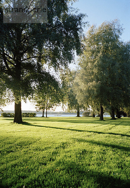 Ein Park  Hamburg  Finnland.