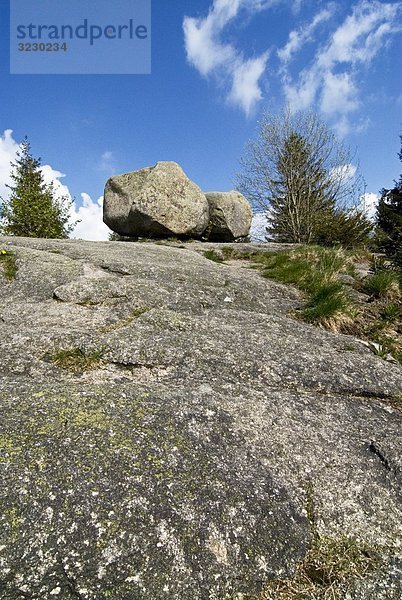 Felsen im Harz  Niedersachsen  Deutschland  Flachwinkelansicht