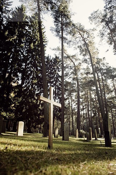 A cemetery  Sweden.