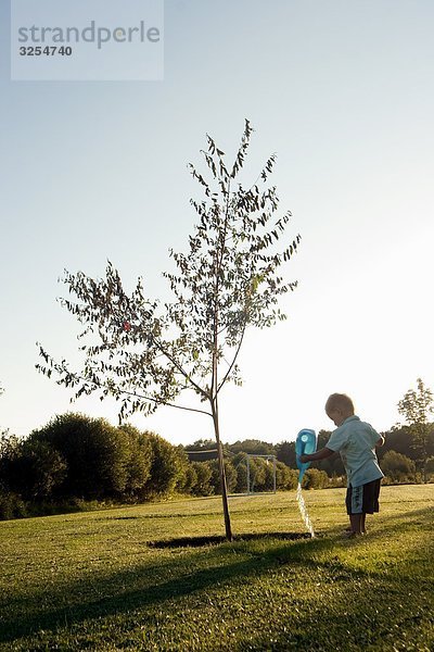 A little boy gardening  Sweden.