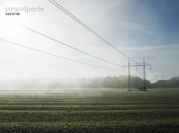 Elektrische Leitungen über ein nebelig Feld  Schweden.
