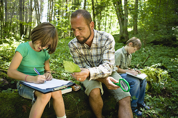 Kinder und Lehrer im Wald