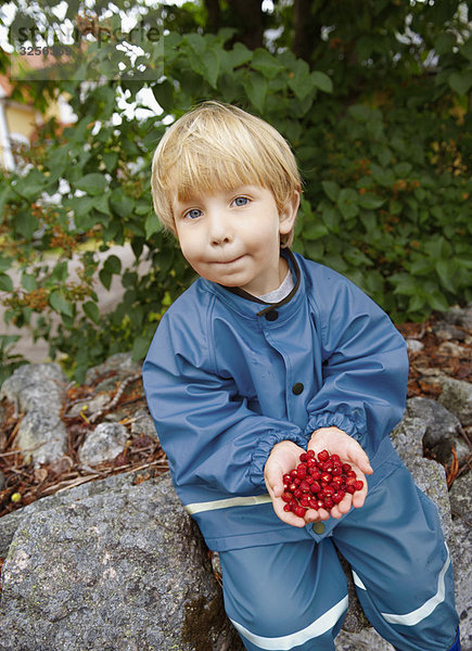 Kleinkind mit wilden Erdbeeren