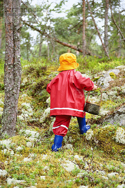 Kleinkind mit Korb im Wald unterwegs