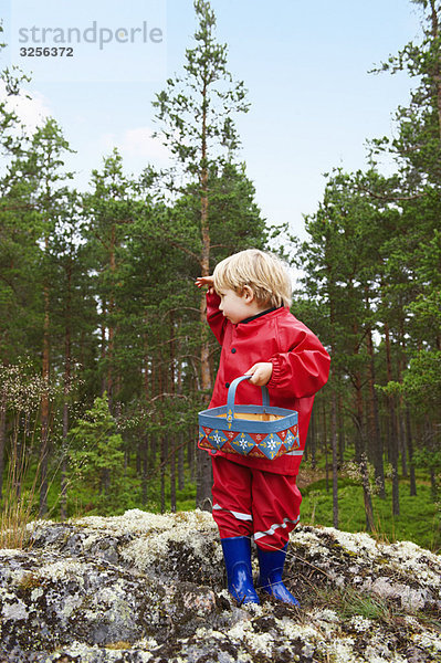 Kleinkind auf Felsen im Wald stehend