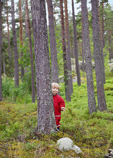 Kleinkind versteckt sich hinter Baum im Wald