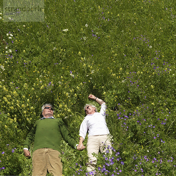 Seniorenpaar im Blumenfeld liegend