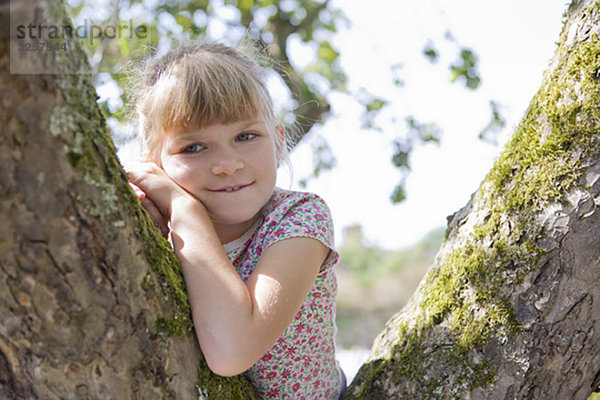 Junges Mädchen im Baum sitzend