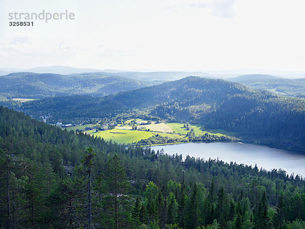 Die Aussicht vom Berg über dem Meer  Hoga Kusten  Schweden.