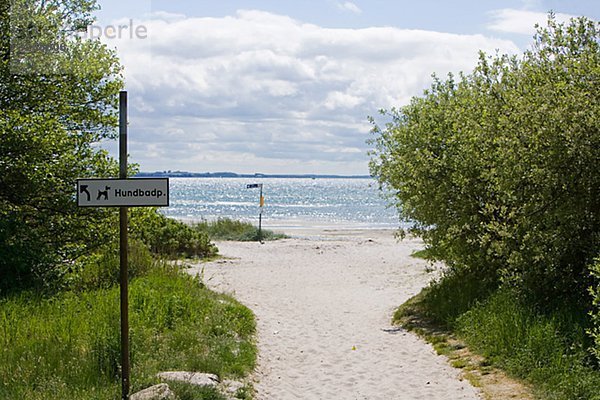 Ein Strand für Hunde  Schweden.