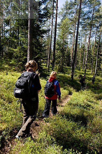 Eine Wanderung in der Natur  Schweden.