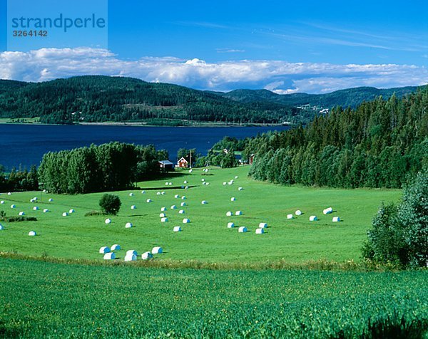 Red house by the water  Sweden.