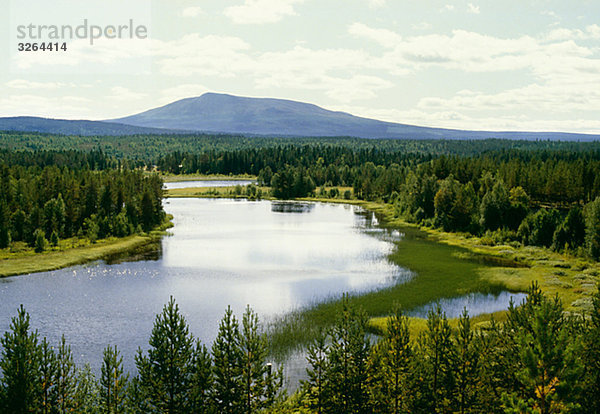 Der Fluss Ljusnan  Harjedalen  Schweden.