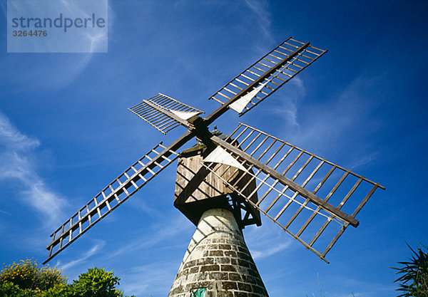 Windmühle  Saumur-Maine-et-Loire  Frankreich.