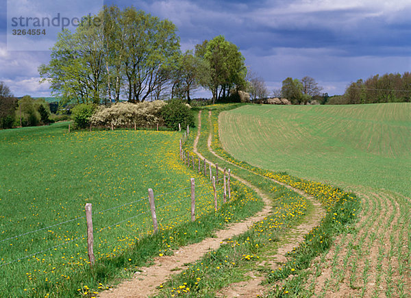 Eine Landstraße auf ein Feld.