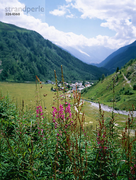 Blick auf die Alpen  Frankreich.