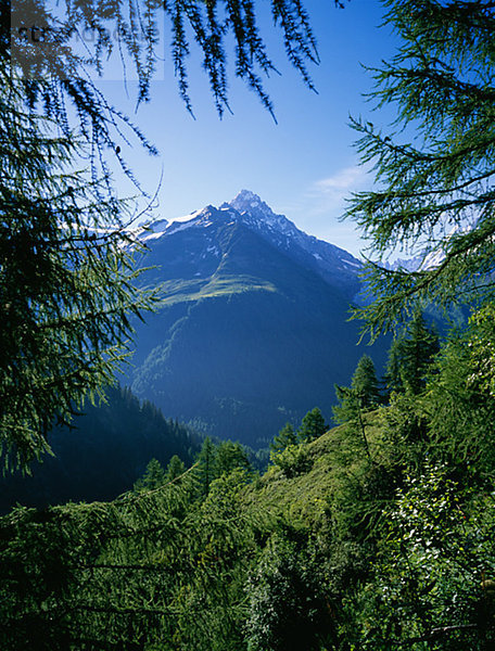 Blick auf die Alpen  Frankreich.