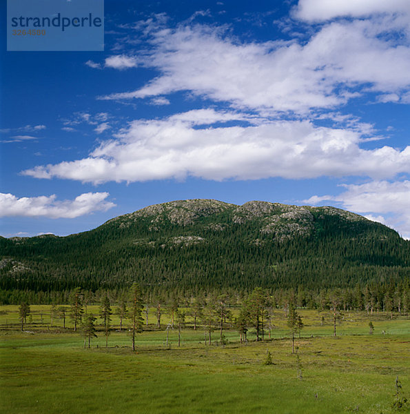 Landschaft  Jämtland  Schweden.