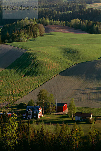 Fields and a farm  Angermanland  Sweden.