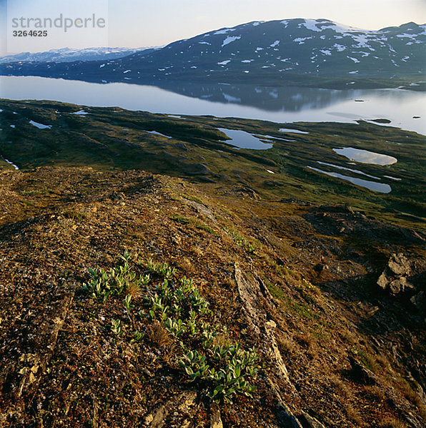 Bare Bergregion oberhalb der Baumgrenze und ein See  Lappland  Schweden.