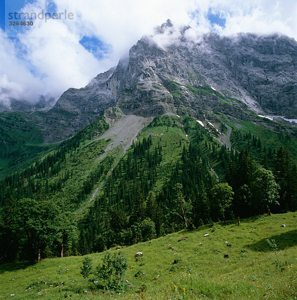 Alpine Meadows  Österreich.
