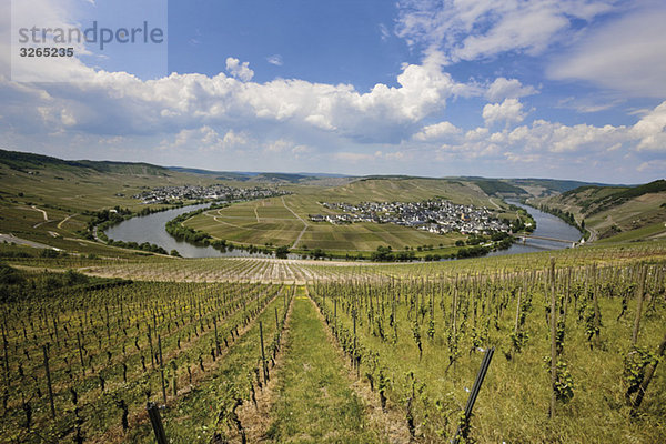 Germany  Rhineland-Palatinate  Moselle River near Trittenheim