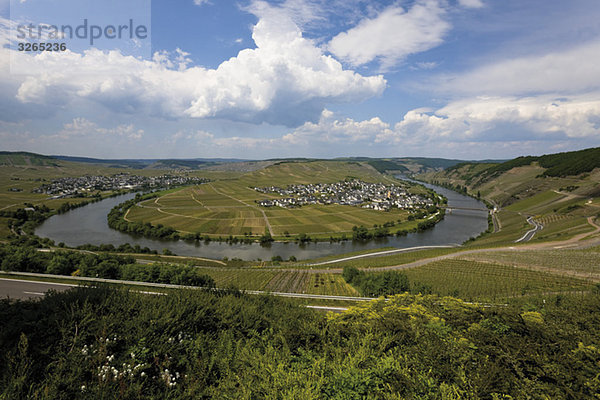 Germany  Rhineland-Palatinate  Moselle River near Trittenheim