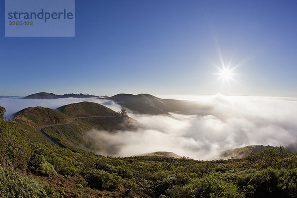 USA  Kalifornien  Nebelbedeckte Landschaft
