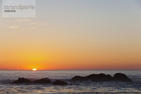 USA  Kalifornien  Sonnenuntergang über Meer